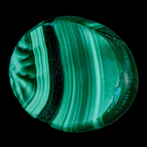1.9" Dark Green Malachite Polished Palm Stone Mineral Specimen Republic of the Congo - Fossil Age Minerals