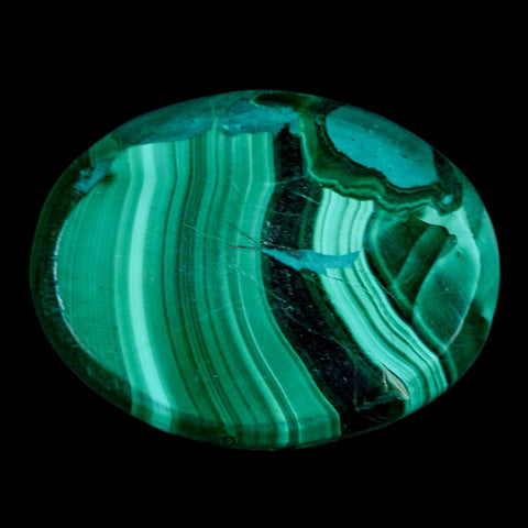 1.9" Dark Green Malachite Polished Palm Stone Mineral Specimen Republic of the Congo - Fossil Age Minerals