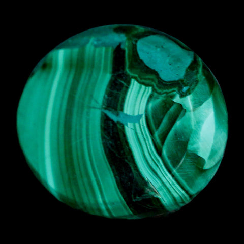 1.9" Dark Green Malachite Polished Palm Stone Mineral Specimen Republic of the Congo - Fossil Age Minerals