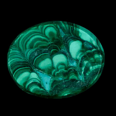 1.5" Dark Green Malachite Polished Palm Stone Mineral Specimen Republic of the Congo - Fossil Age Minerals