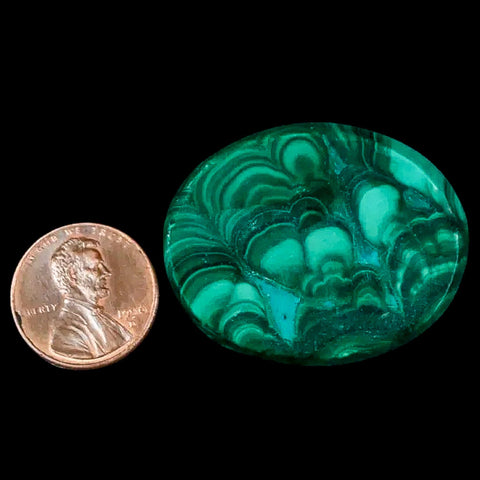 1.5" Dark Green Malachite Polished Palm Stone Mineral Specimen Republic of the Congo - Fossil Age Minerals