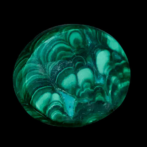 1.5" Dark Green Malachite Polished Palm Stone Mineral Specimen Republic of the Congo - Fossil Age Minerals