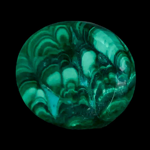 1.5" Dark Green Malachite Polished Palm Stone Mineral Specimen Republic of the Congo - Fossil Age Minerals
