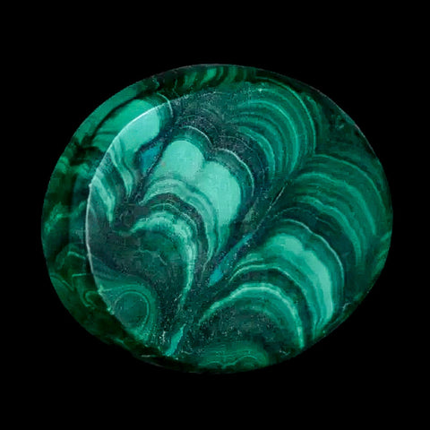 1.5" Dark Green Malachite Polished Palm Stone Mineral Specimen Republic of the Congo - Fossil Age Minerals