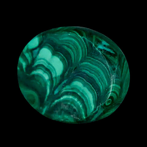 1.5" Dark Green Malachite Polished Palm Stone Mineral Specimen Republic of the Congo - Fossil Age Minerals