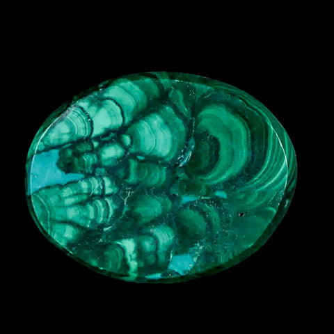 1.8" Dark Green Malachite Polished Palm Stone Mineral Specimen Republic of the Congo - Fossil Age Minerals