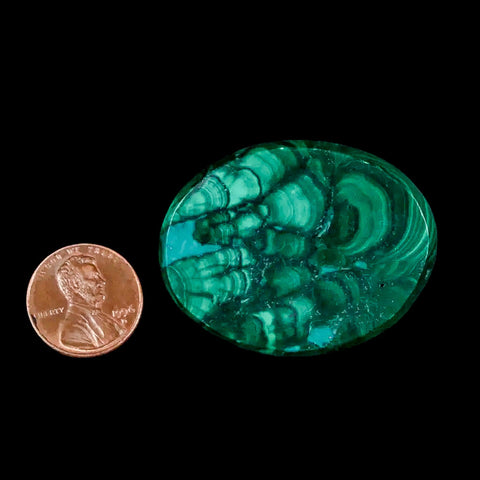 1.8" Dark Green Malachite Polished Palm Stone Mineral Specimen Republic of the Congo - Fossil Age Minerals