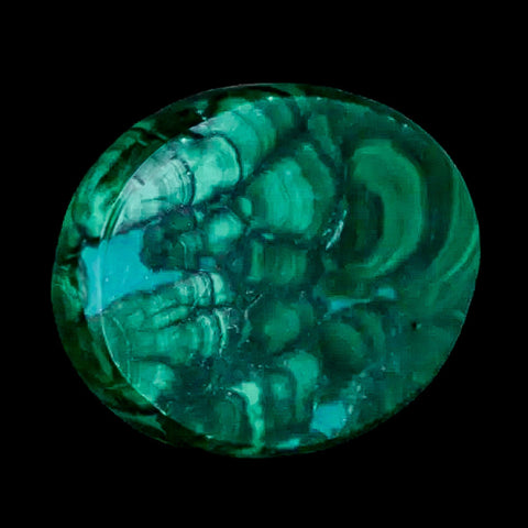 1.8" Dark Green Malachite Polished Palm Stone Mineral Specimen Republic of the Congo - Fossil Age Minerals