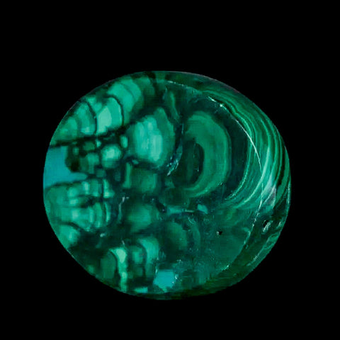 1.8" Dark Green Malachite Polished Palm Stone Mineral Specimen Republic of the Congo - Fossil Age Minerals