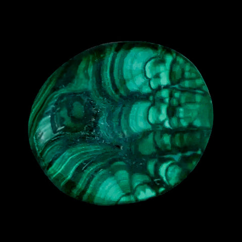 1.8" Dark Green Malachite Polished Palm Stone Mineral Specimen Republic of the Congo - Fossil Age Minerals