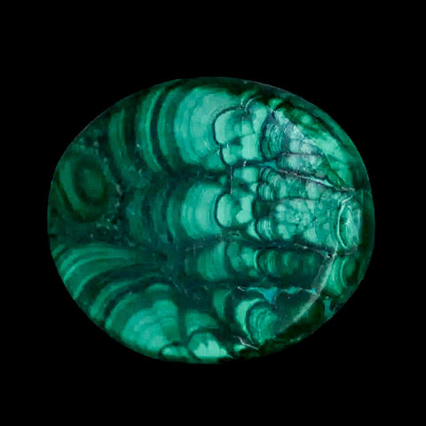1.8" Dark Green Malachite Polished Palm Stone Mineral Specimen Republic of the Congo - Fossil Age Minerals