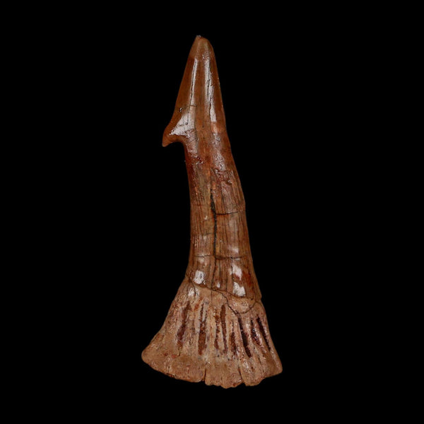XL 2.7