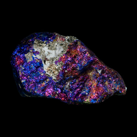 2" Chalcopyrite Bornite Brilliant Multicolored Peacock Ore Chihuahua Mexico