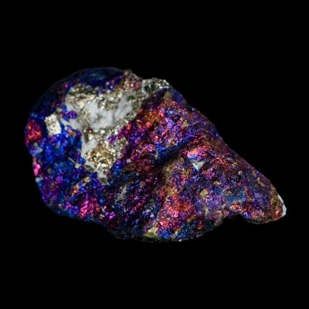 2" Chalcopyrite Bornite Brilliant Multicolored Peacock Ore Chihuahua Mexico