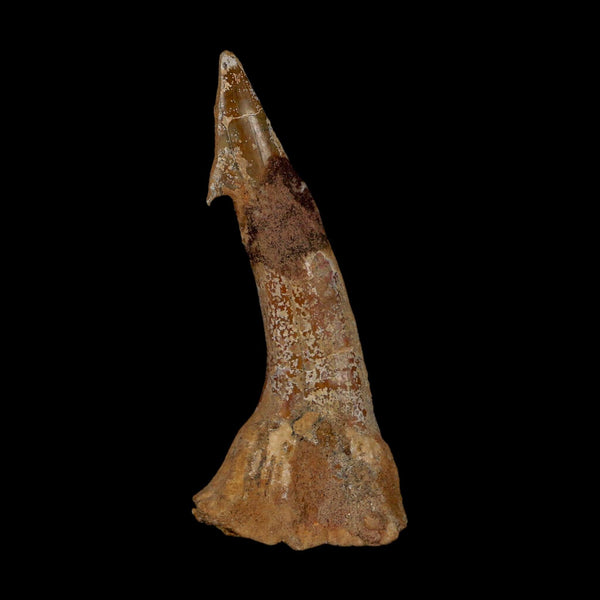XL 3.2