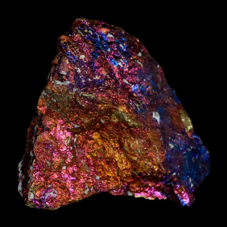 2.6" Chalcopyrite Bornite Brilliant Multicolored Peacock Ore Chihuahua Mexico