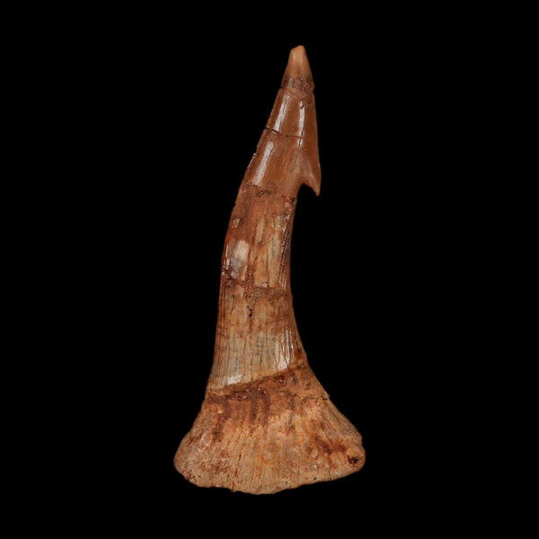 XL 2.6