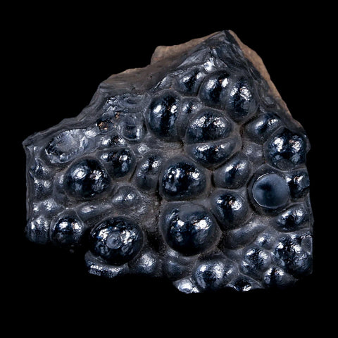 1.9" Hematite Botryoidal Kidney Ore Rock Mineral Specimen Irhoud Mine, Morocco - Fossil Age Minerals