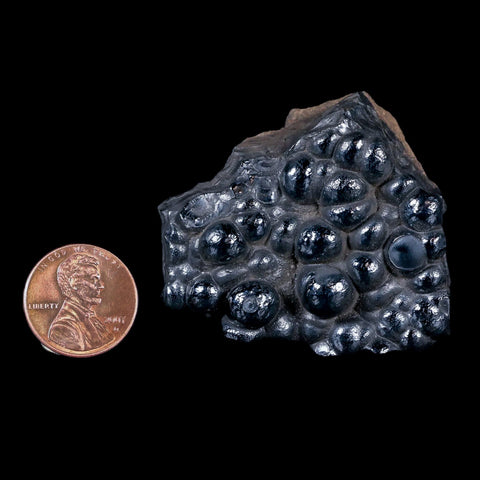 1.9" Hematite Botryoidal Kidney Ore Rock Mineral Specimen Irhoud Mine, Morocco - Fossil Age Minerals