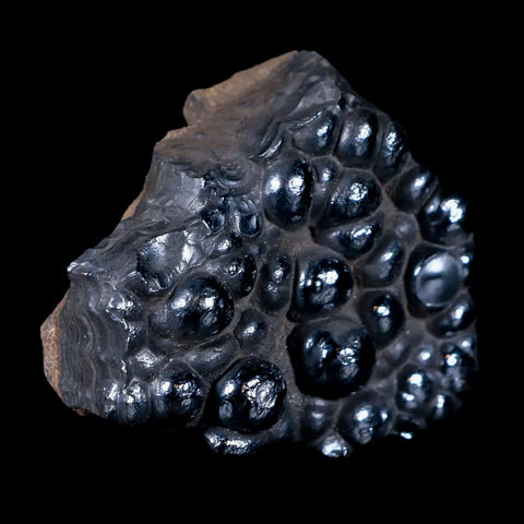 1.9" Hematite Botryoidal Kidney Ore Rock Mineral Specimen Irhoud Mine, Morocco - Fossil Age Minerals