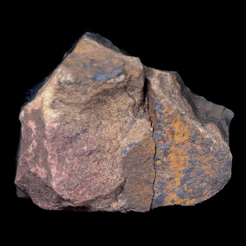 1.9" Hematite Botryoidal Kidney Ore Rock Mineral Specimen Irhoud Mine, Morocco - Fossil Age Minerals