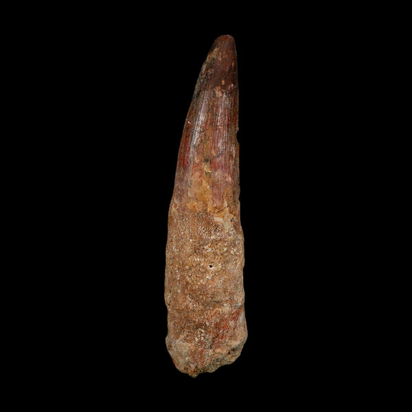 XL 4.2
