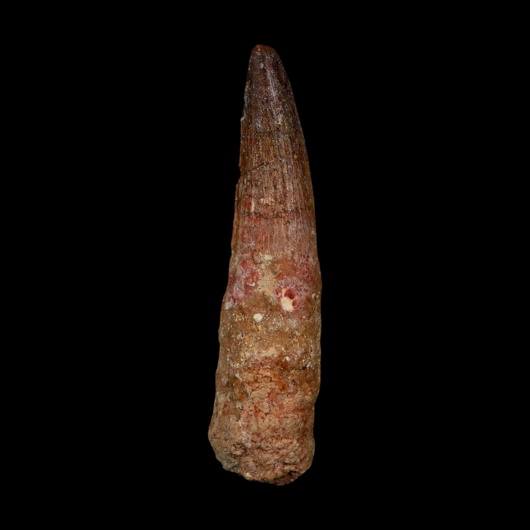 XL 4.2