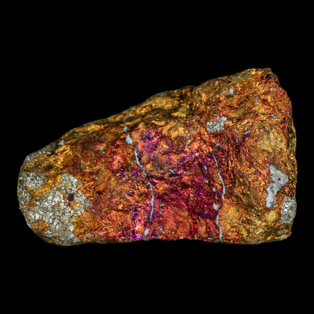 2.3" Chalcopyrite Bornite Brilliant Multicolored Peacock Ore Chihuahua Mexico