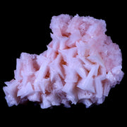 5.2" Quality Pink Halite Salt Crystals Cluster Mineral Trona, CA Searles Lake Stand