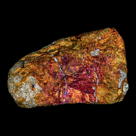 2.3" Chalcopyrite Bornite Brilliant Multicolored Peacock Ore Chihuahua Mexico