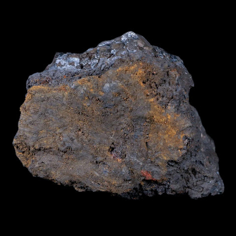 2.1 Hematite Botryoidal Kidney Ore Rock Mineral Specimen Irhoud Mine, Morocco - Fossil Age Minerals