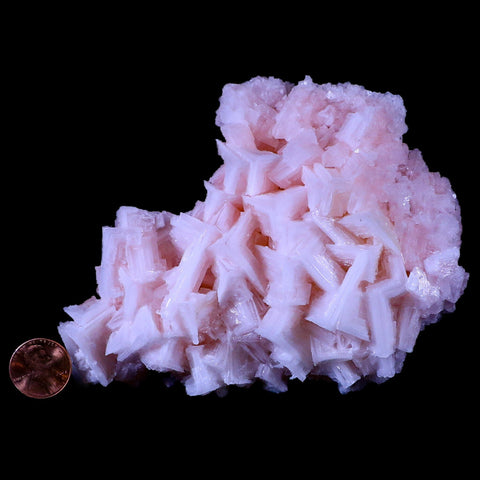 5.2" Quality Pink Halite Salt Crystals Cluster Mineral Trona, CA Searles Lake Stand - Fossil Age Minerals