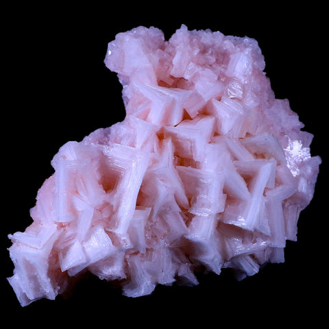 5.2" Quality Pink Halite Salt Crystals Cluster Mineral Trona, CA Searles Lake Stand - Fossil Age Minerals