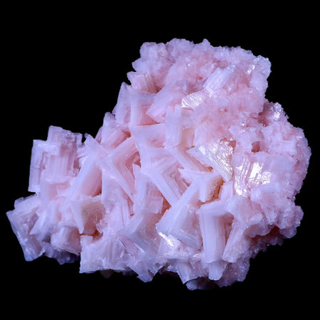 5.2" Quality Pink Halite Salt Crystals Cluster Mineral Trona, CA Searles Lake Stand