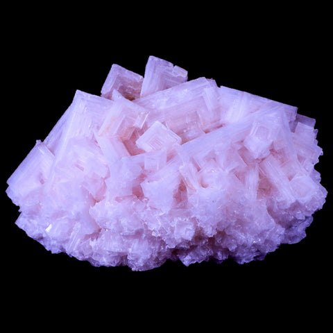 6.2" Quality Pink Halite Salt Crystals Cluster Mineral Trona, CA Searles Lake Stand - Fossil Age Minerals