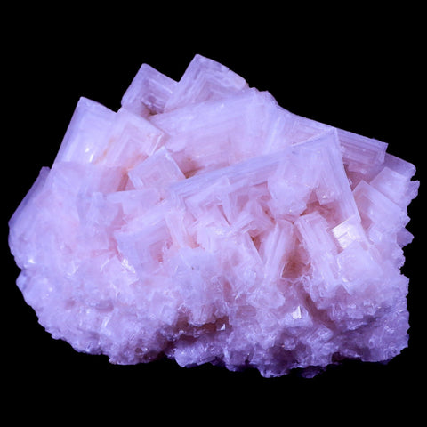 6.2" Quality Pink Halite Salt Crystals Cluster Mineral Trona, CA Searles Lake Stand - Fossil Age Minerals