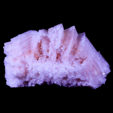 6.2" Quality Pink Halite Salt Crystals Cluster Mineral Trona, CA Searles Lake Stand - Fossil Age Minerals