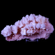 XL 7" Quality Pink Halite Salt Crystals Cluster Mineral Trona, CA Searles Lake Stand