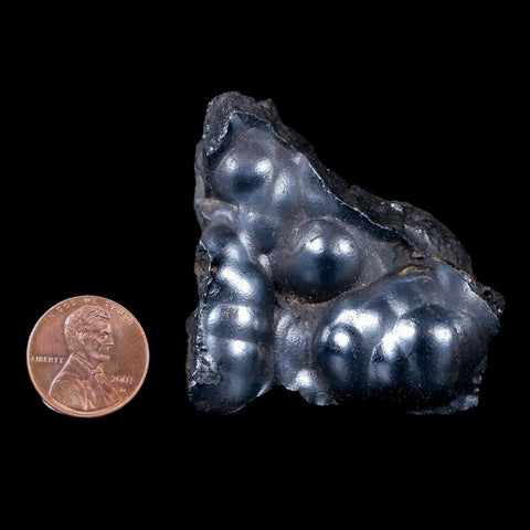2 Hematite Botryoidal Kidney Ore Rock Mineral Specimen Irhoud Mine, Morocco - Fossil Age Minerals