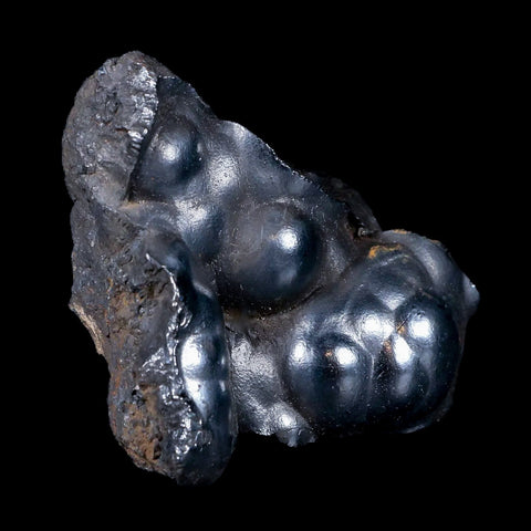 2 Hematite Botryoidal Kidney Ore Rock Mineral Specimen Irhoud Mine, Morocco - Fossil Age Minerals