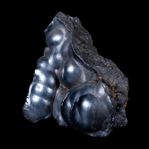 2 Hematite Botryoidal Kidney Ore Rock Mineral Specimen Irhoud Mine, Morocco - Fossil Age Minerals