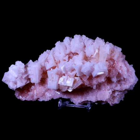 XL 7" Quality Pink Halite Salt Crystals Cluster Mineral Trona, CA Searles Lake Stand
