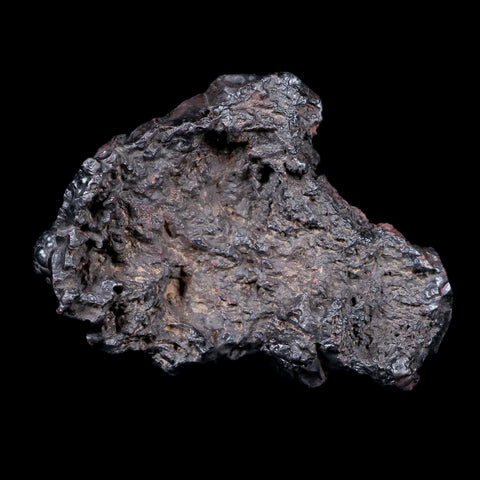2.4 Hematite Botryoidal Kidney Ore Rock Mineral Specimen Irhoud Mine, Morocco - Fossil Age Minerals