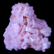 4.3" Quality Pink Halite Salt Crystals Cluster Mineral Trona, CA Searles Lake Stand