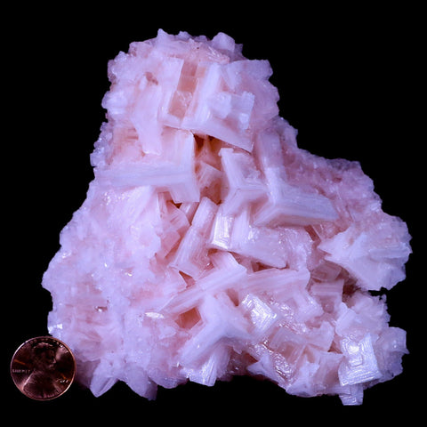 4.3" Quality Pink Halite Salt Crystals Cluster Mineral Trona, CA Searles Lake Stand - Fossil Age Minerals