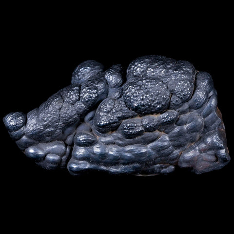3 Hematite Botryoidal Kidney Ore Rock Mineral Specimen Irhoud Mine, Morocco - Fossil Age Minerals