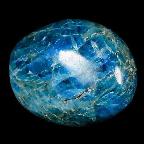 2.1" Natural Polished Blue Apatite Palm Stone Crystal Mineral Specimen Madagascar - Fossil Age Minerals