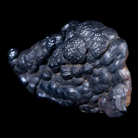 3 Hematite Botryoidal Kidney Ore Rock Mineral Specimen Irhoud Mine, Morocco - Fossil Age Minerals