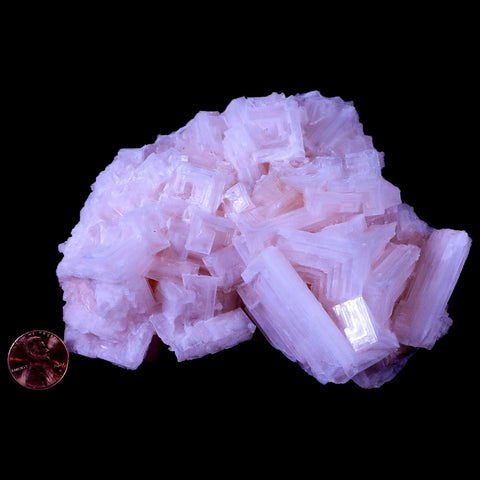 5.1" Quality Pink Halite Salt Crystals Cluster Mineral Trona, CA Searles Lake Stand - Fossil Age Minerals