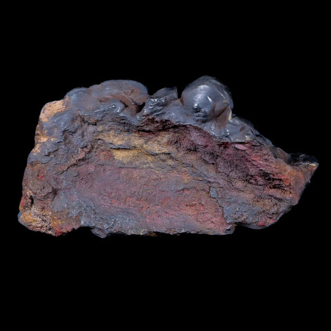 3 Hematite Botryoidal Kidney Ore Rock Mineral Specimen Irhoud Mine, Morocco - Fossil Age Minerals
